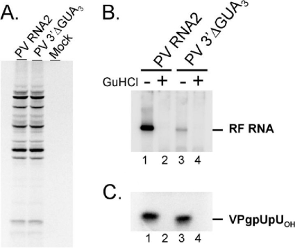 FIG. 8.