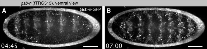 Figure 4—figure supplement 2.