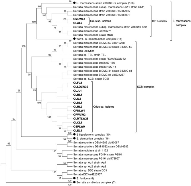 FIGURE 2