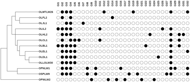 FIGURE 4