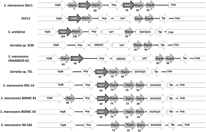 FIGURE 6