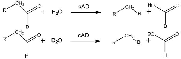 Scheme 2