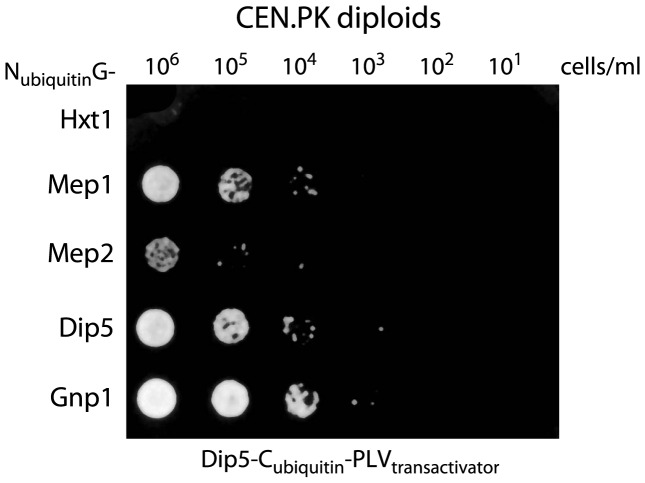 Figure 6