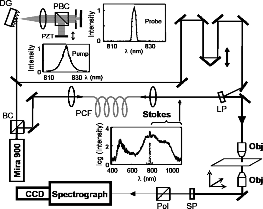 Fig 2