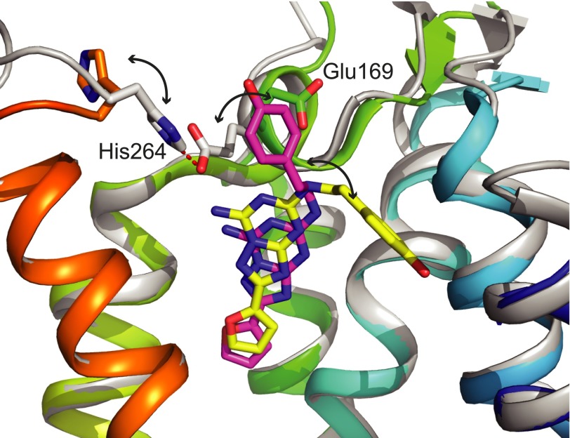 Fig. 7.