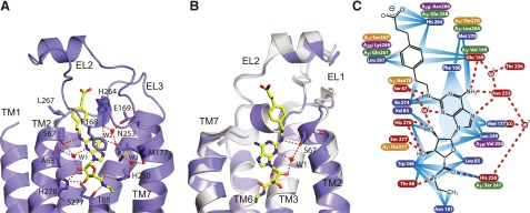 Fig. 3.