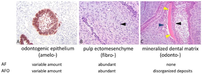 Figure 7.