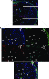 Fig. 7.