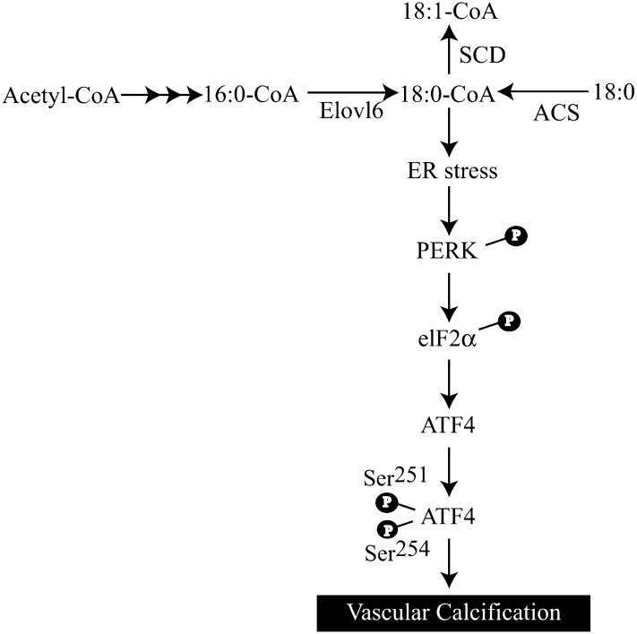 Fig. 9.