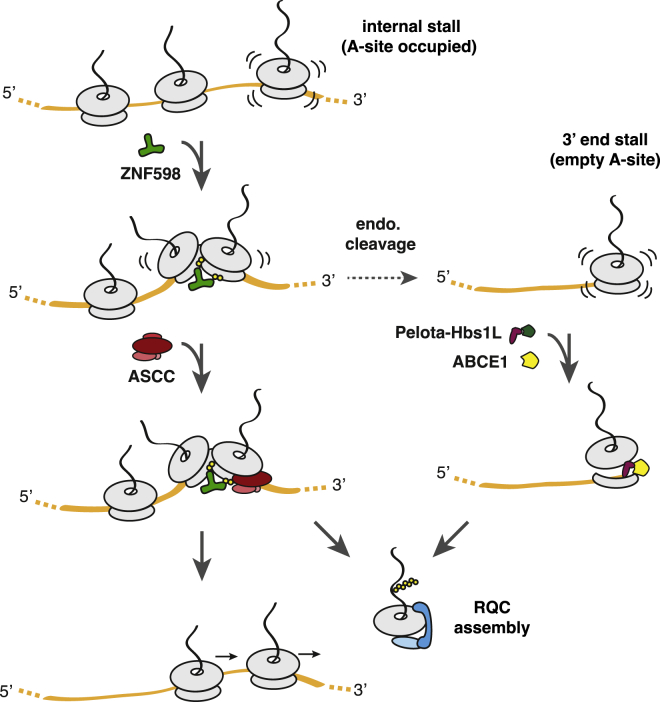 Figure 7