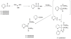 Scheme 44
