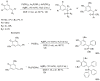 Scheme 60