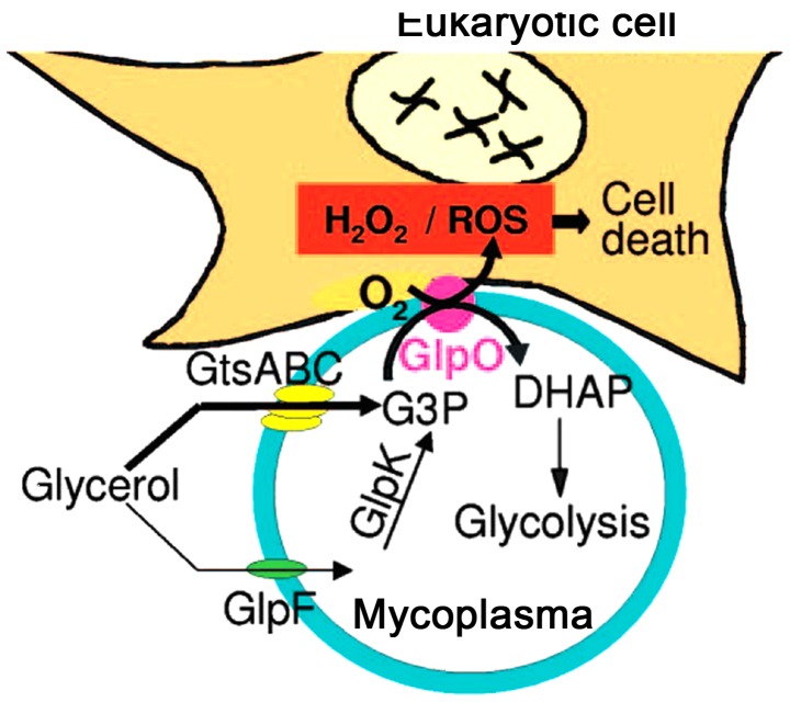 Figure 3.