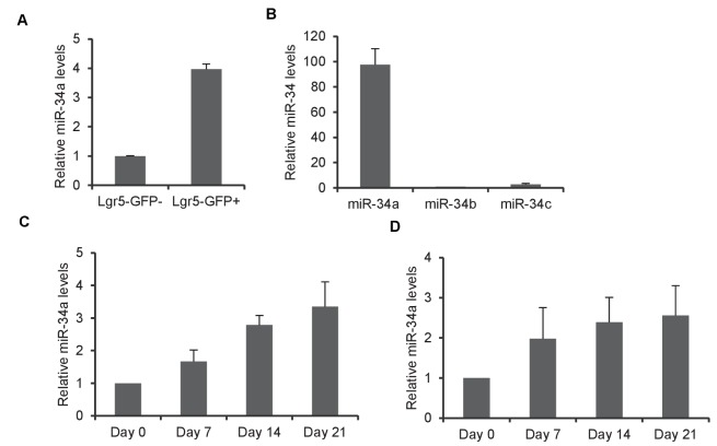 Figure 5—figure supplement 2.