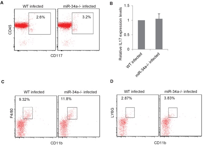 Figure 2—figure supplement 1.