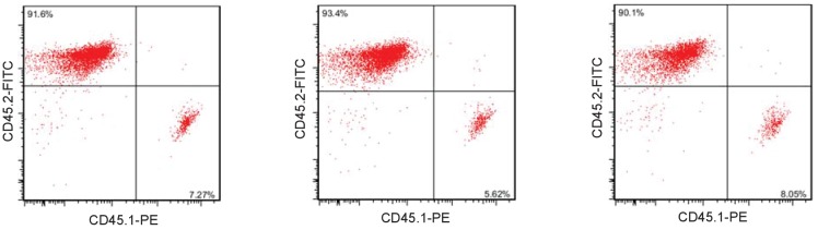 Figure 6—figure supplement 3.