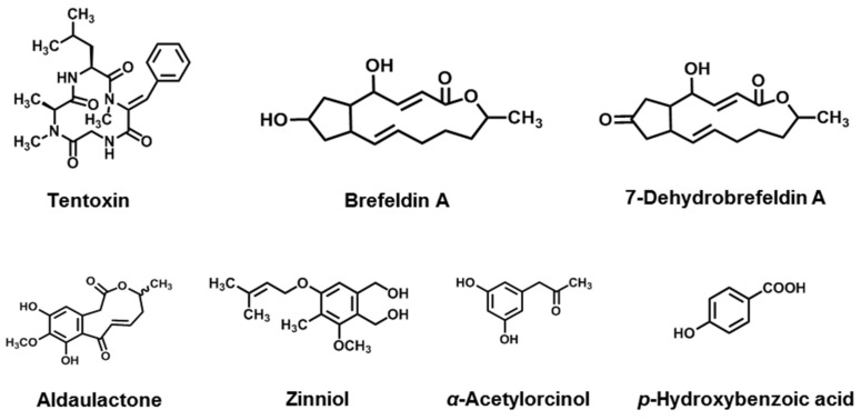 Figure 10