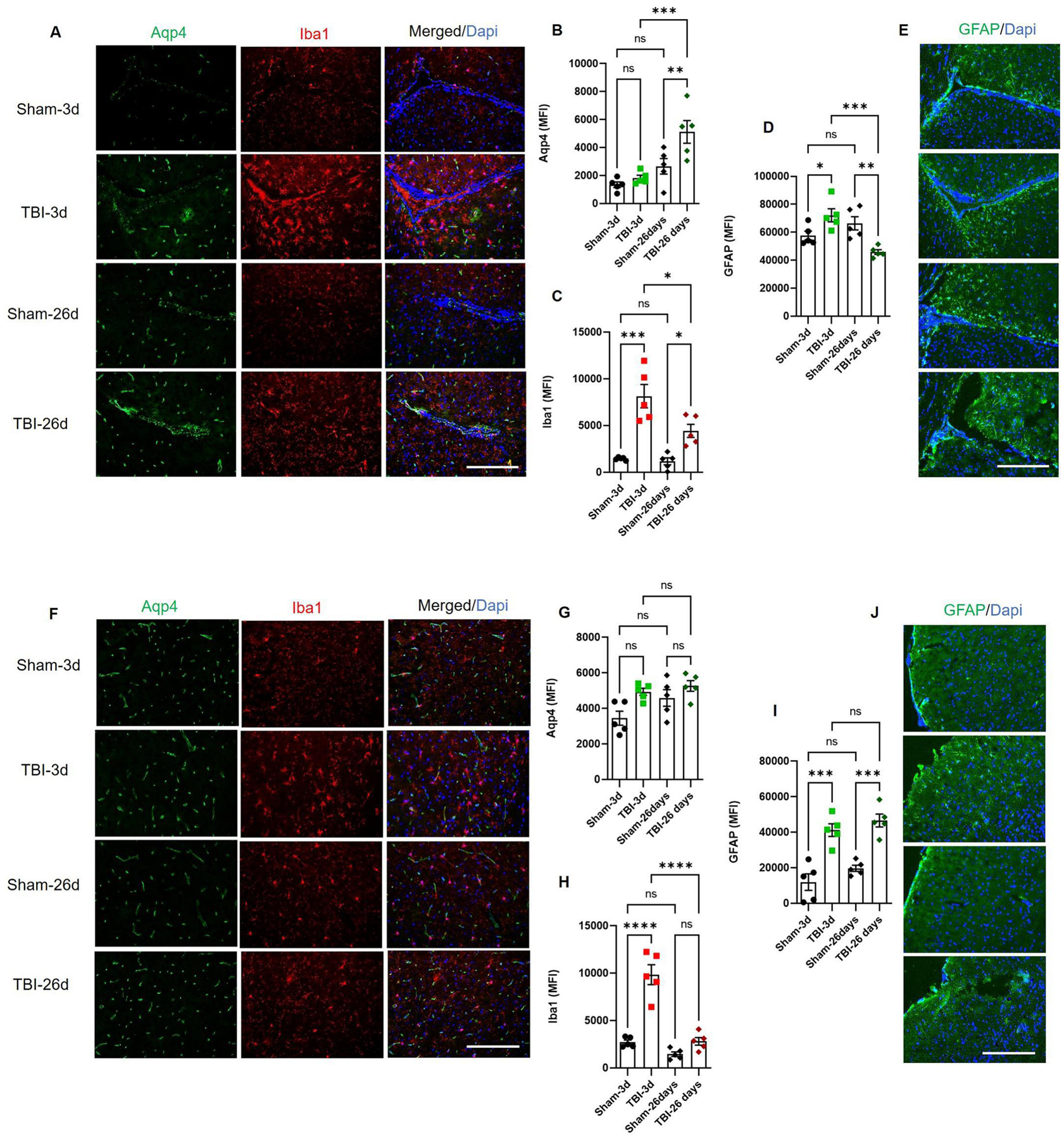 Fig. 4: