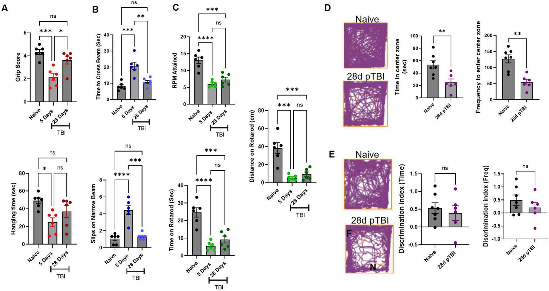 Fig. 6: