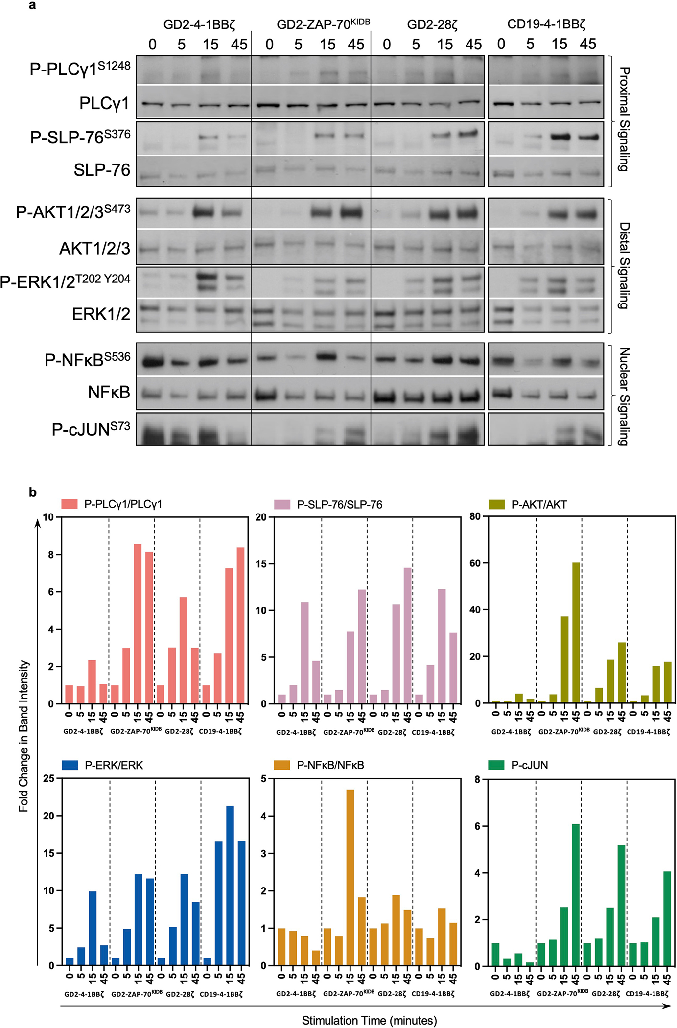 Extended Data Fig. 4 |