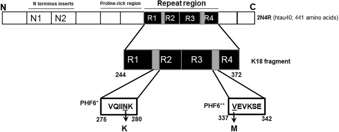 FIGURE 1