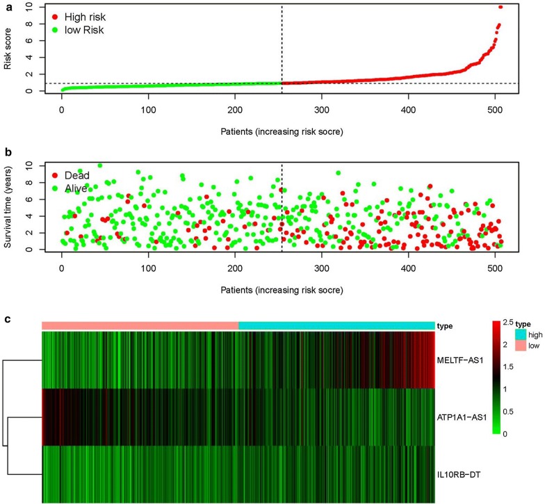 Fig. 2