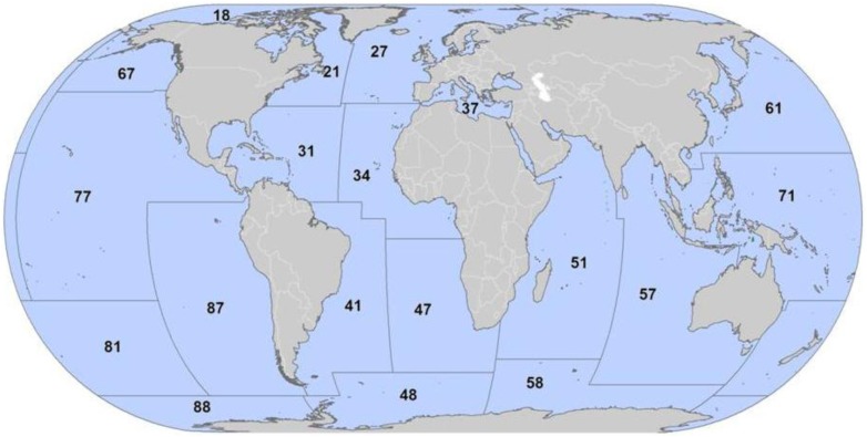 Figure 2—figure supplement 1.