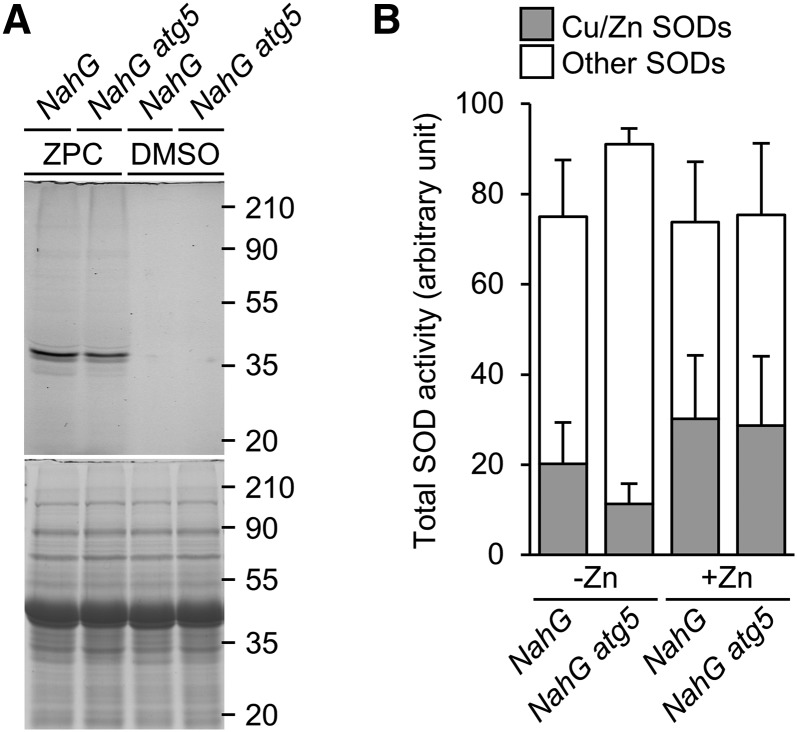 Figure 6.