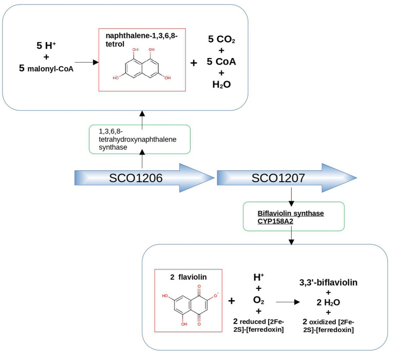 Figure 6