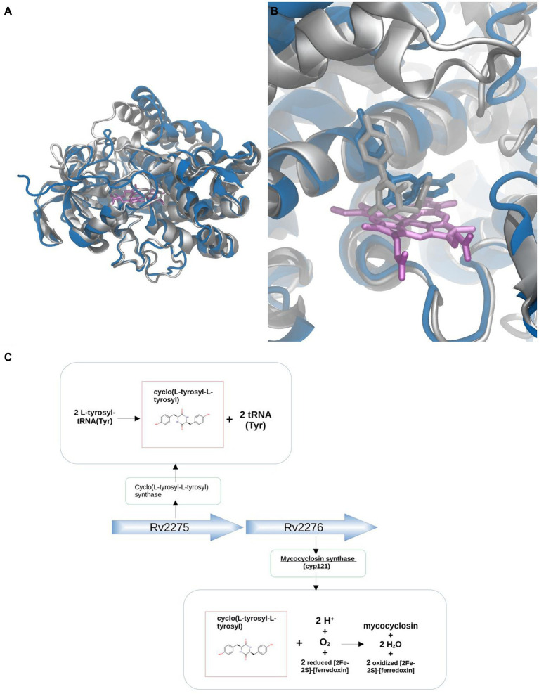 Figure 10