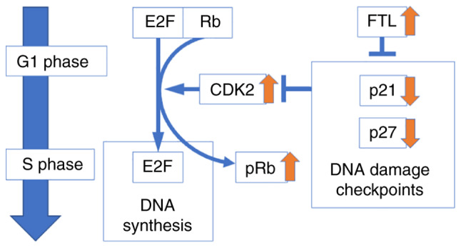 Figure 5.