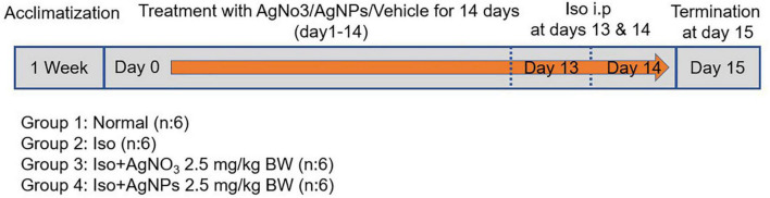 FIGURE 1