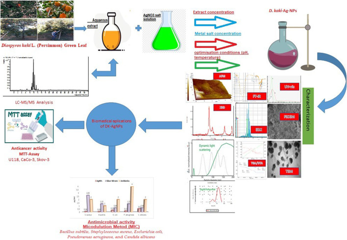 FIGURE 1