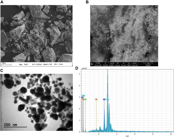 FIGURE 4