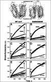 Fig. 4.