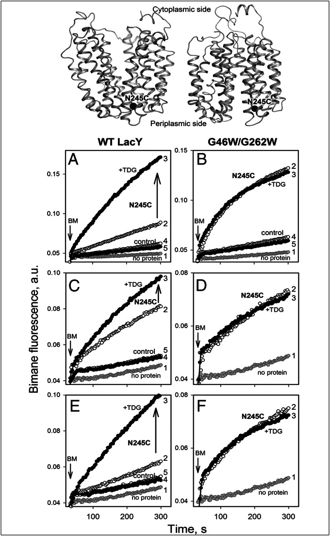 Fig. 4.