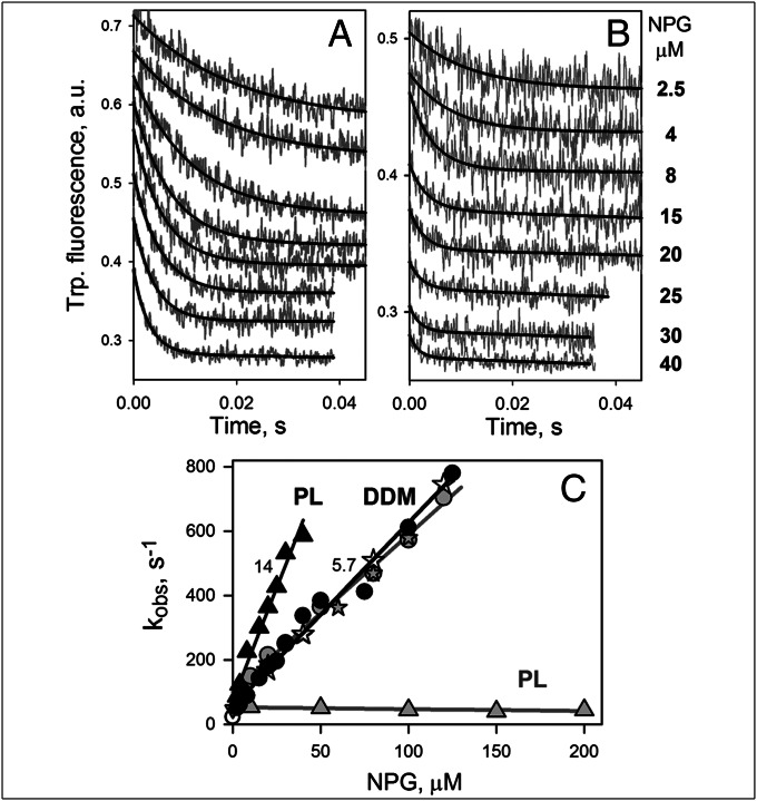 Fig. 5.