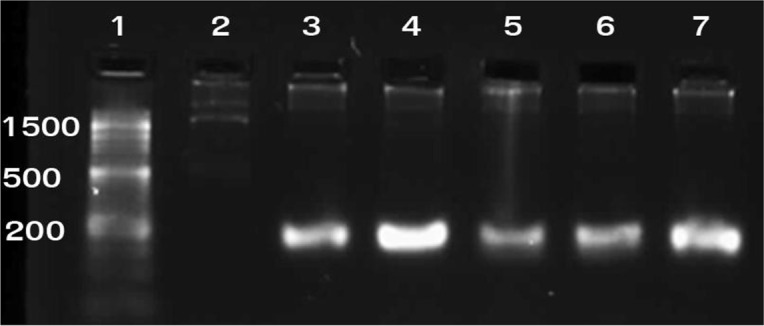 Fig. 2: