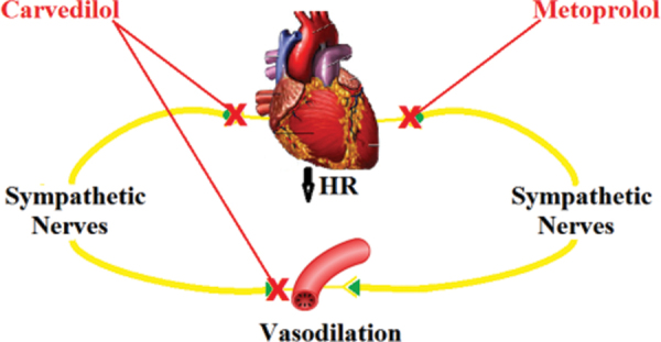 Fig. 5 -