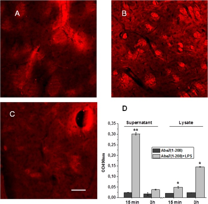 Fig 6