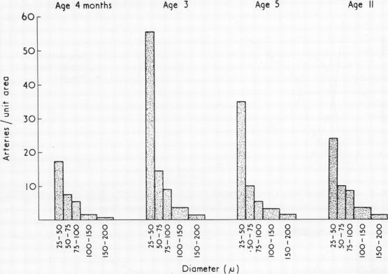 graphic file with name thorax00114-0033-a.jpg