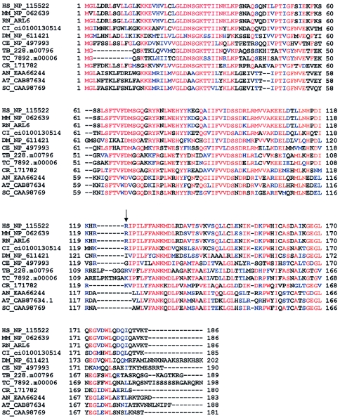 Figure  4