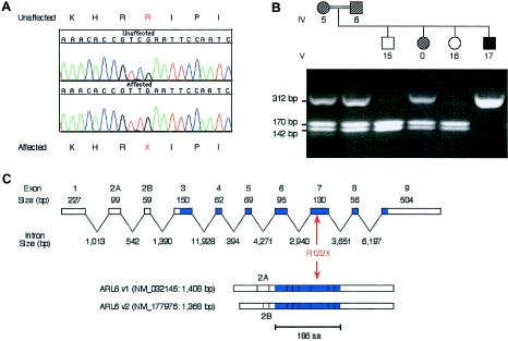 Figure  3