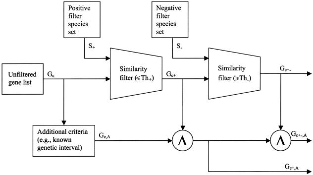 Figure  1