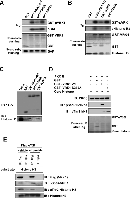 FIGURE 3: