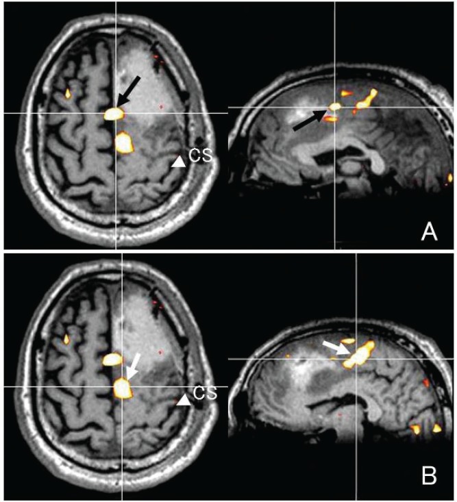 Fig. 7.