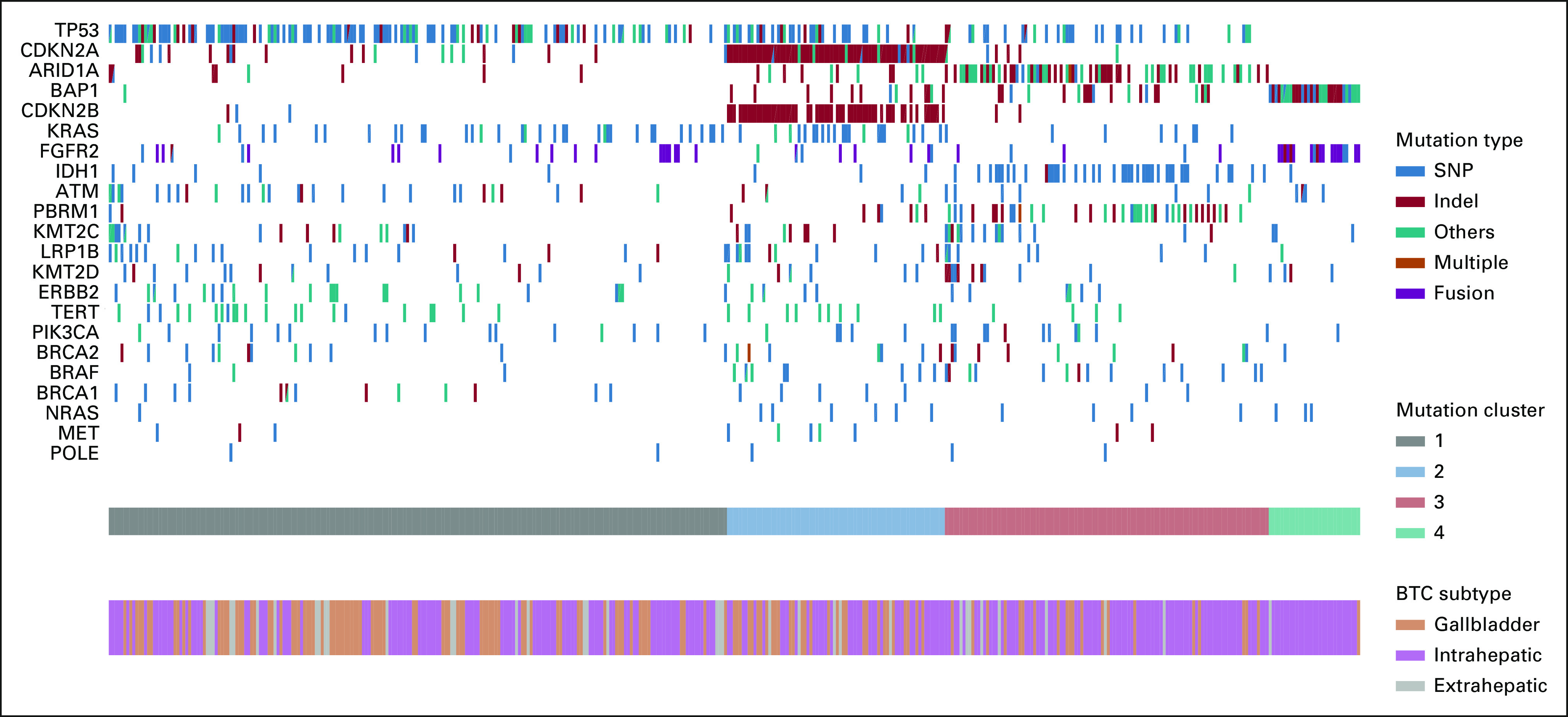 FIG 1.