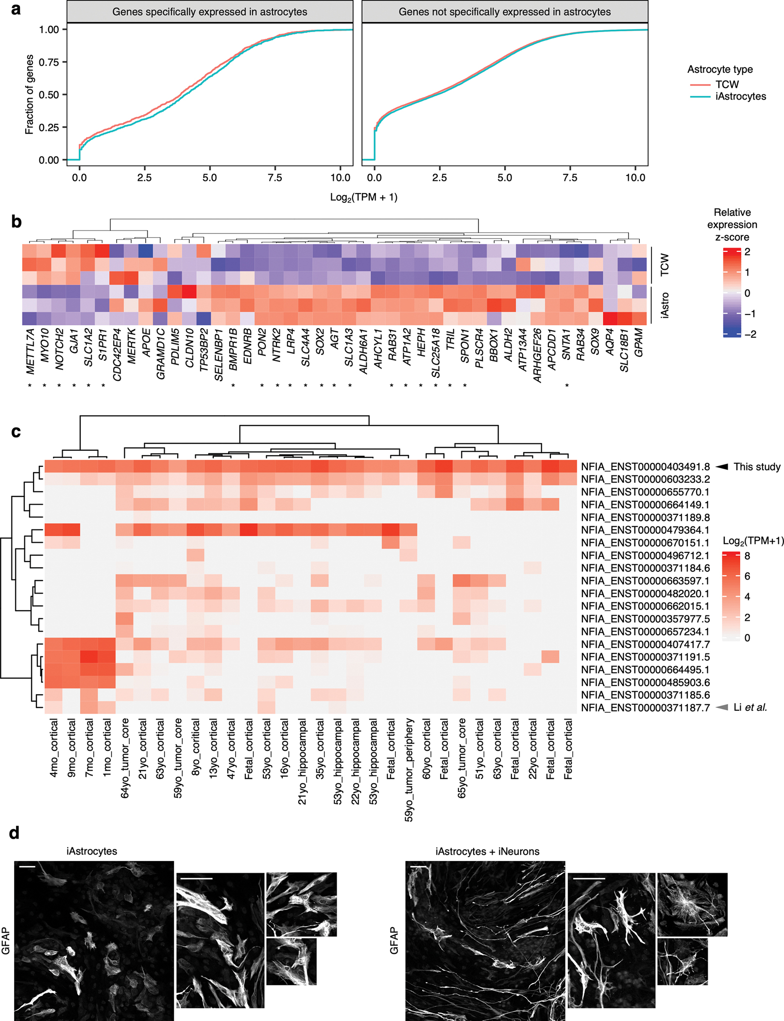 Extended Data Fig. 1 |