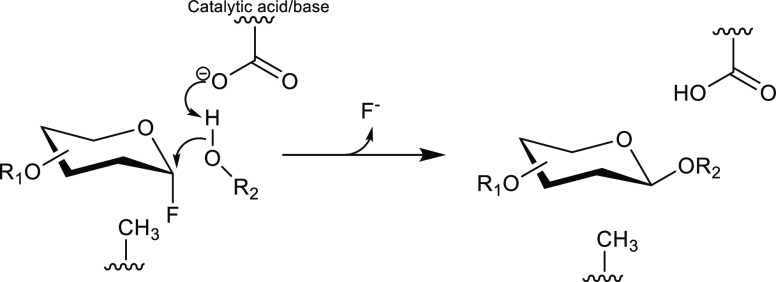 Figure 8