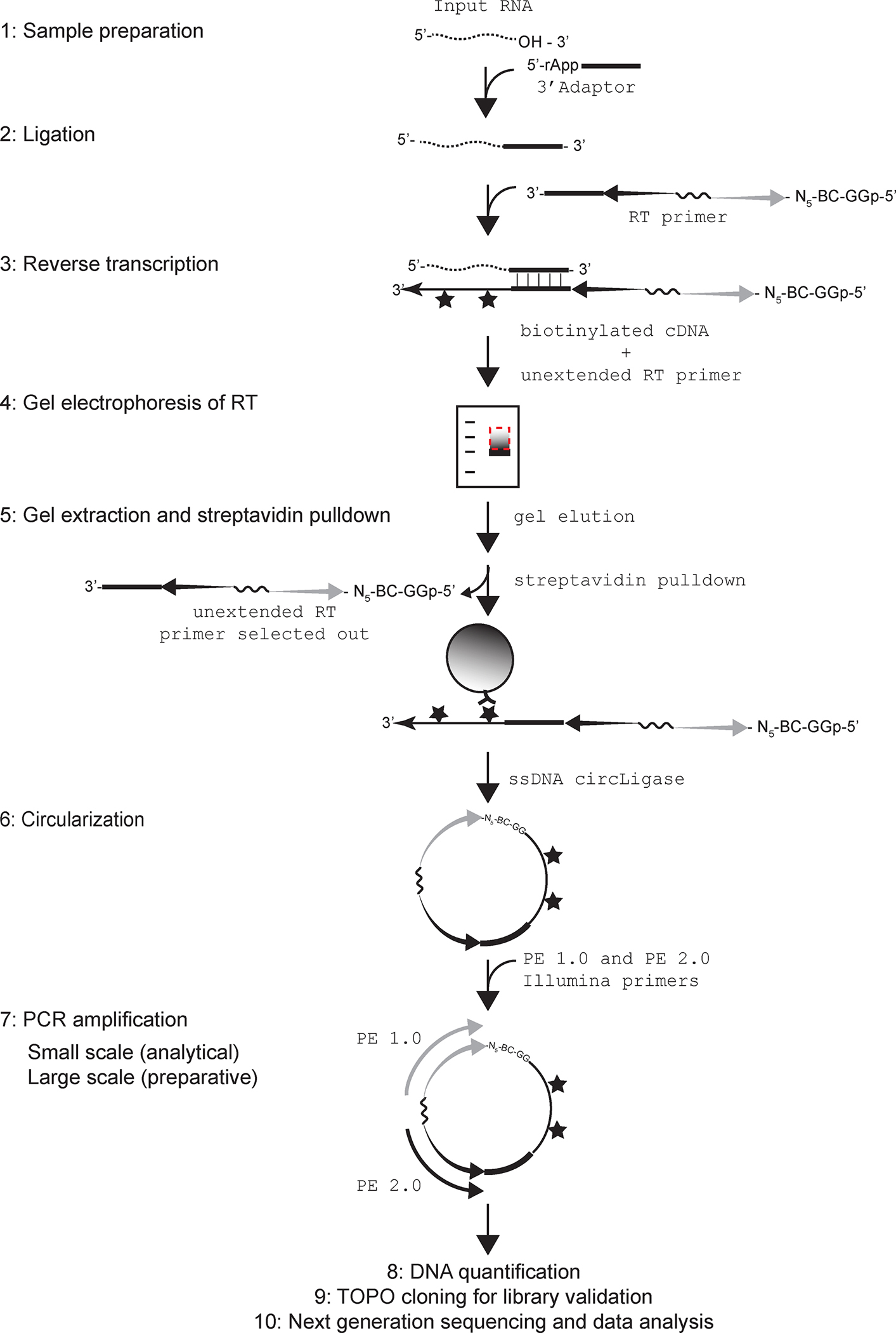 Figure 1.